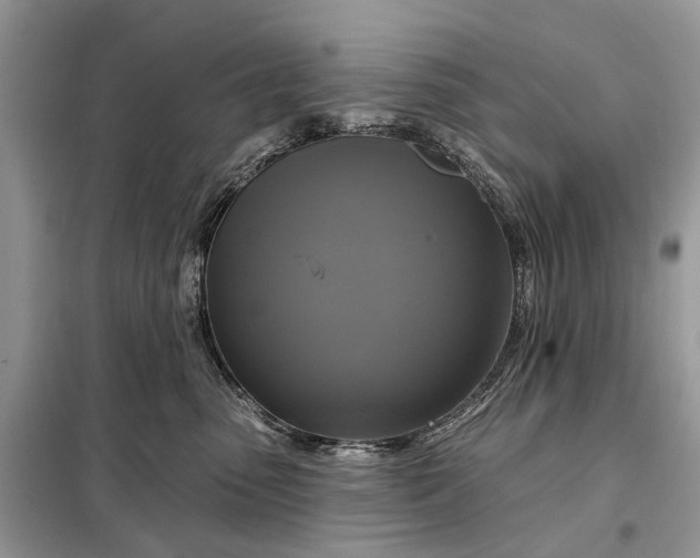 X0000098210475200805081139