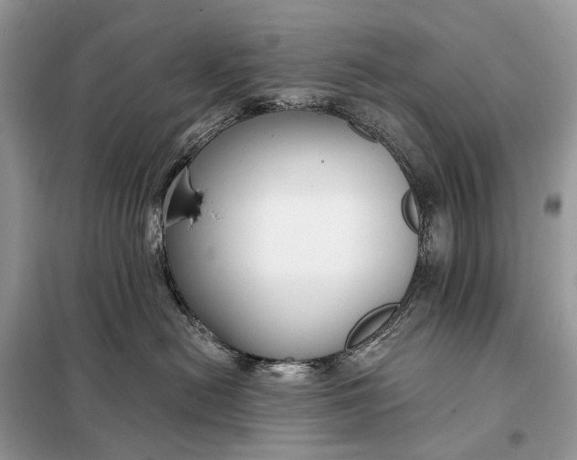 X0000098210478200805081139