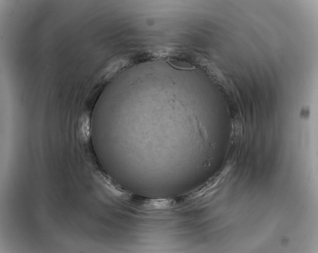 X0000098210479200805081139