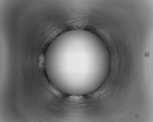 X0000098210480200805081139