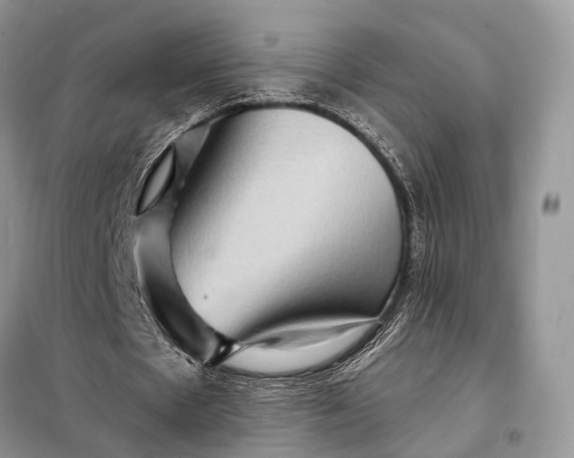 X0000098210481200805081138