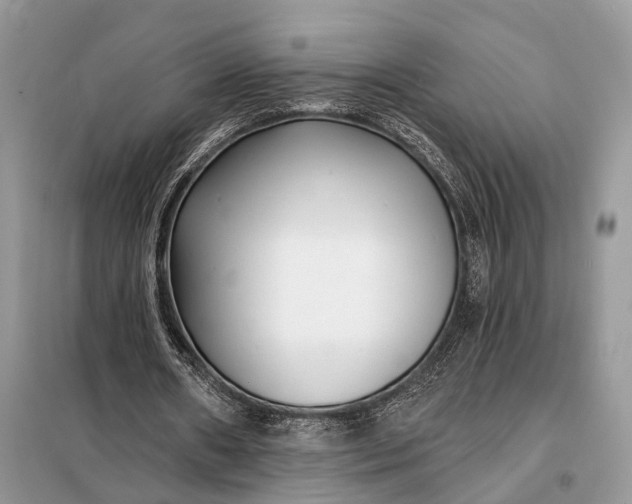 X0000098210482200805081138