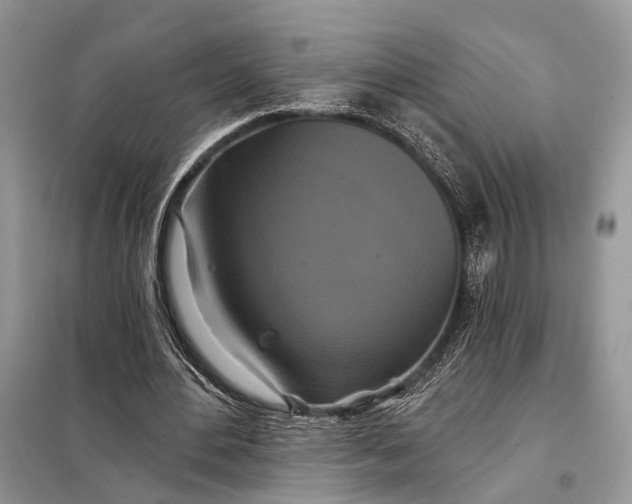 X0000098210484200805081138