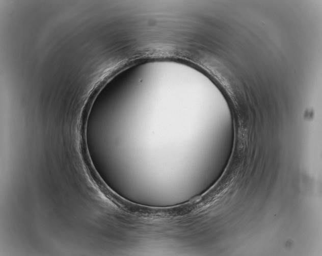 X0000098210485200805081138