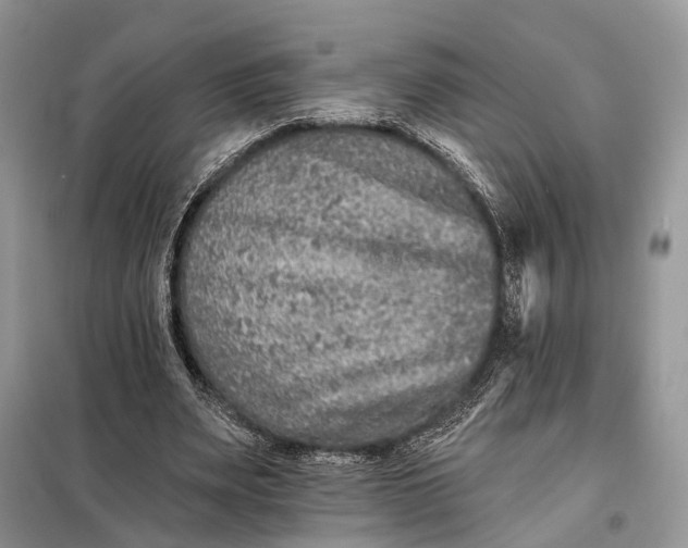 X0000098210487200805081138