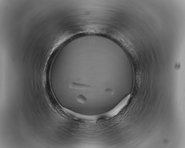 X0000098210488200805081138