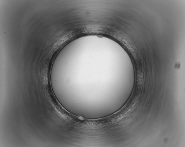 X0000098210489200805081138