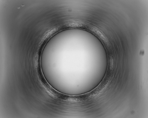 X0000098210490200805081138