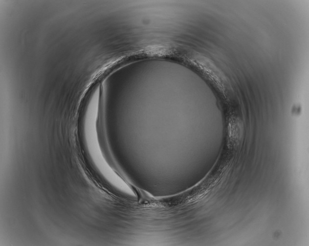 X0000098210492200805081138