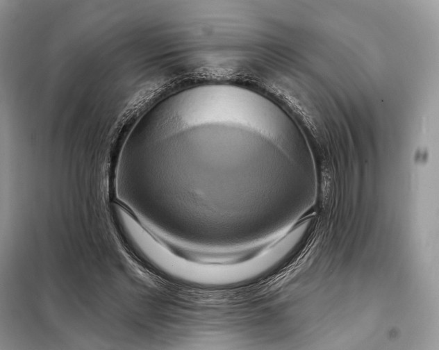 X0000098210493200805081138