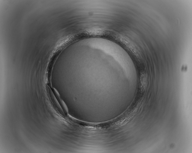 X0000098210494200805081138