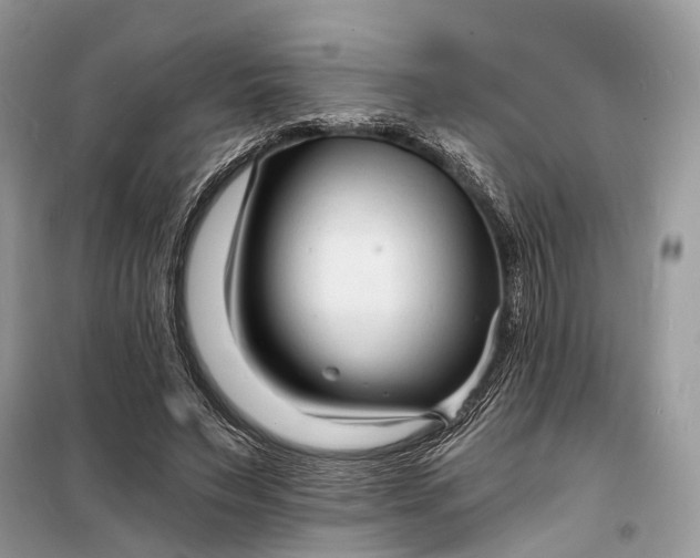 X0000098210495200805081138