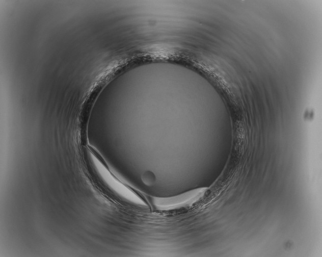 X0000098210496200805081138