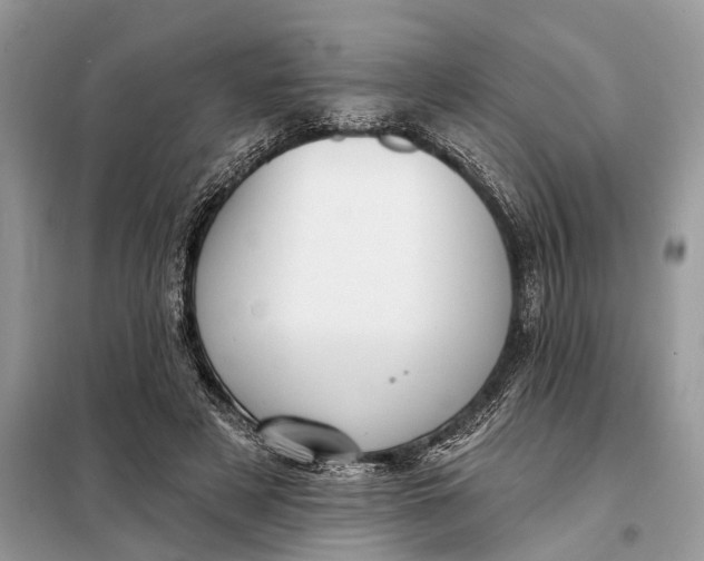 X0000098210497200805081138