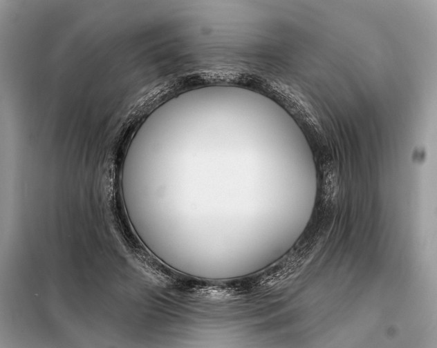 X0000098210498200805081138