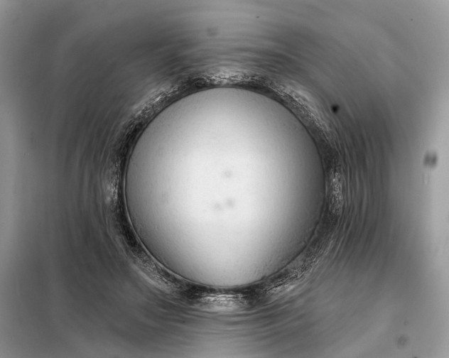 X0000098210499200805081138