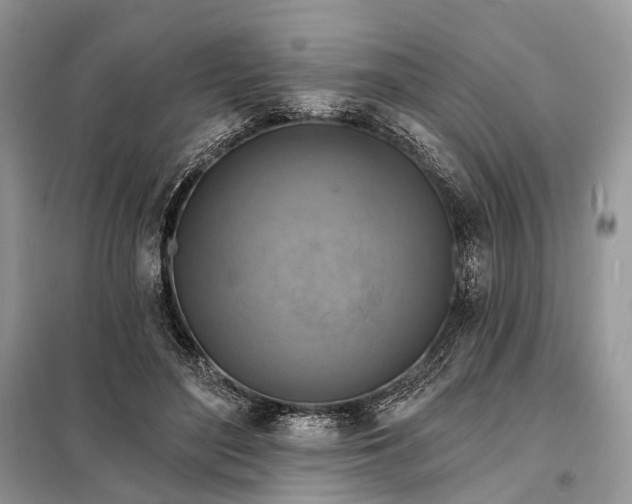X0000098210500200805081138