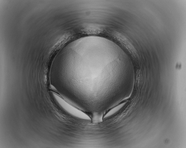 X0000098210501200805081138