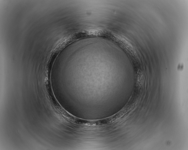 X0000098210502200805081138
