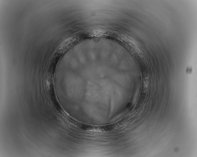 X0000098210503200805081138