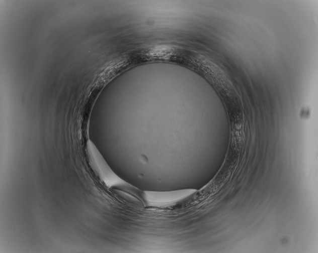 X0000098210504200805081138