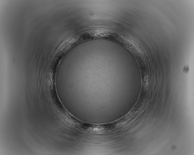 X0000098210506200805081138