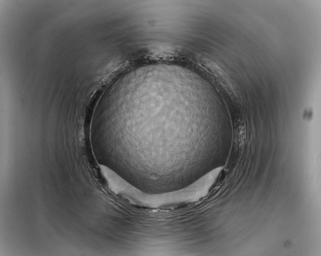 X0000098210508200805081138