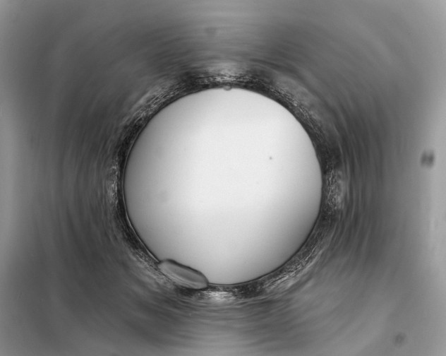 X0000098210509200805081138