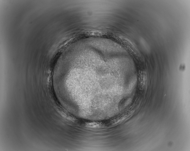 X0000098210511200805081138