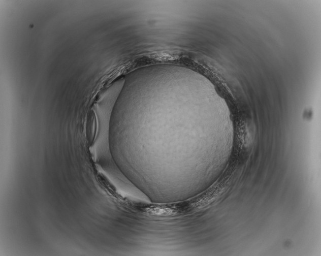 X0000098210512200805081138