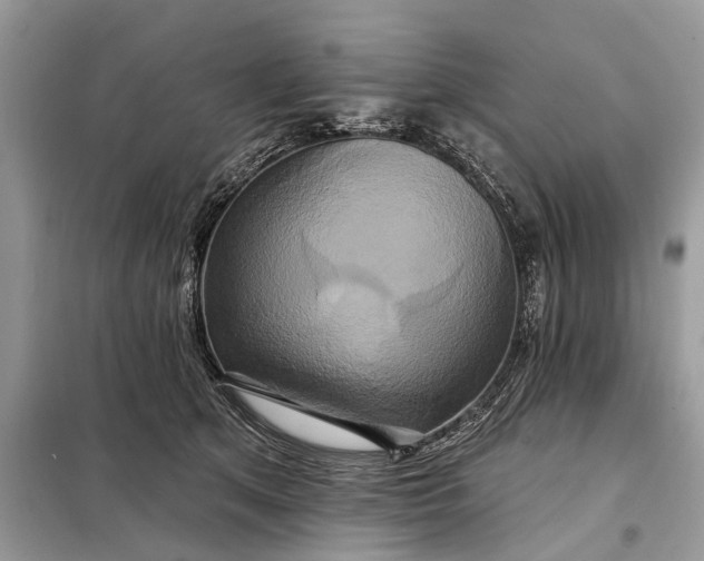 X0000098210513200805081138