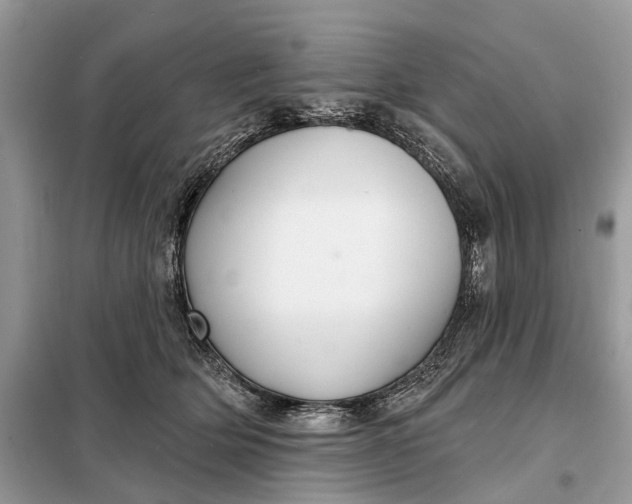 X0000098210514200805081138