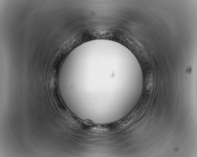 X0000098210515200805081138