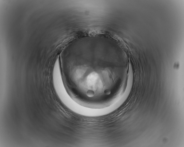 X0000098210519200805081138