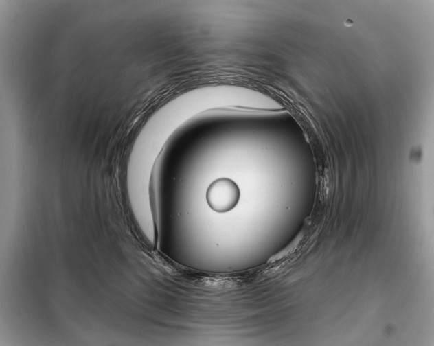 X0000098210520200805081138