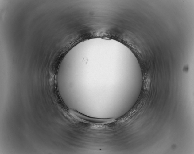 X0000098210521200805081137