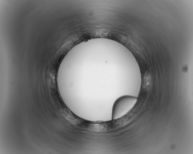 X0000098210522200805081137