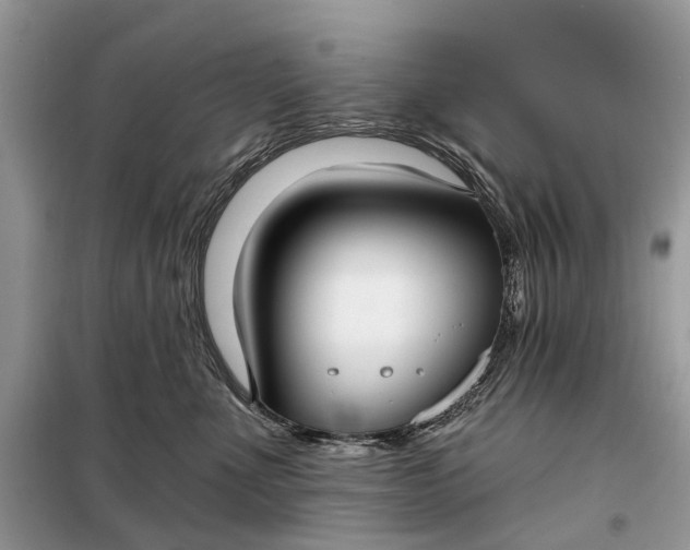 X0000098210523200805081137