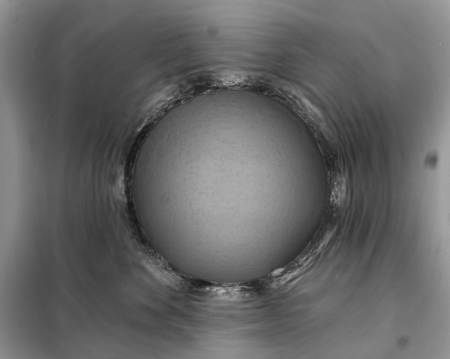 X0000098210524200805081137