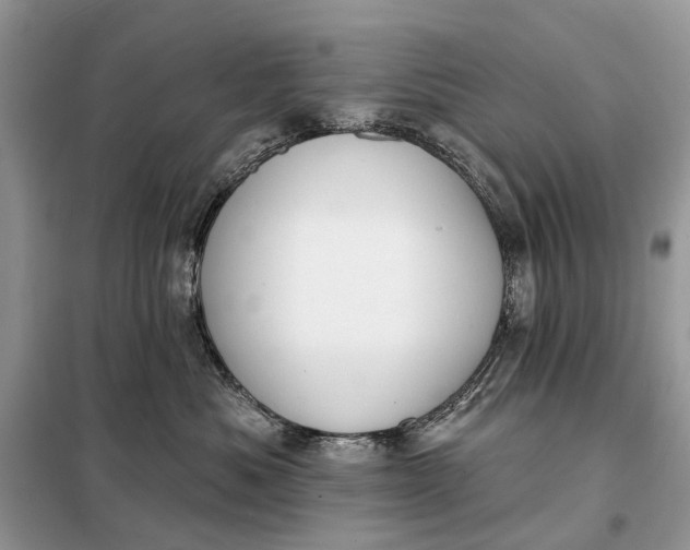 X0000098210525200805081137