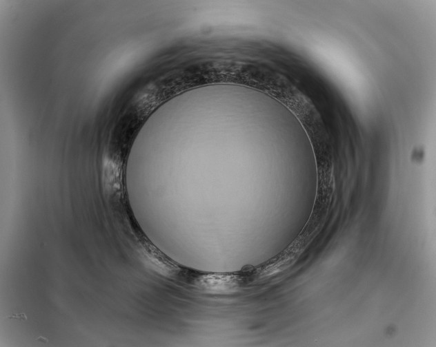 X0000098210526200805081137