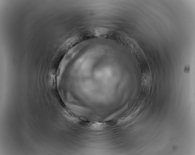 X0000098210527200805081137