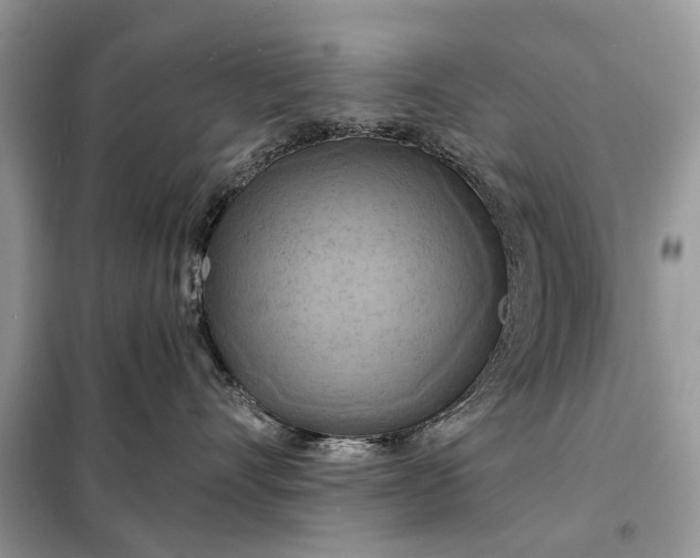 X0000098210528200805081137
