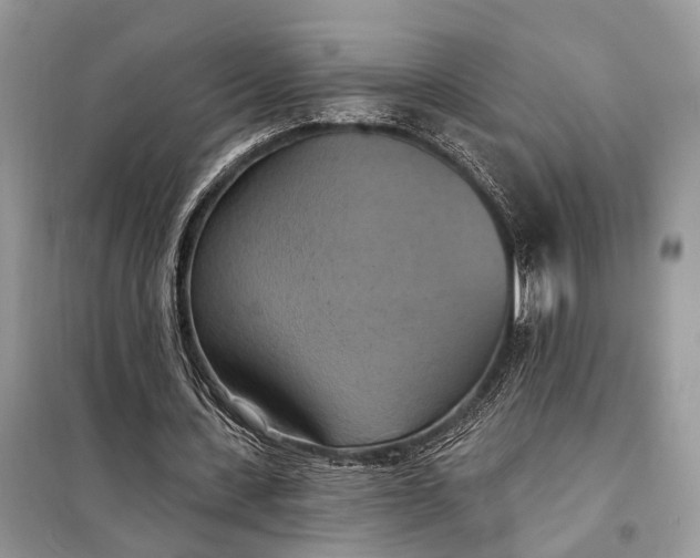 X0000098210531200805081137