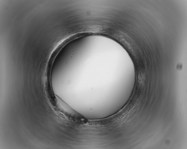 X0000098210532200805081137
