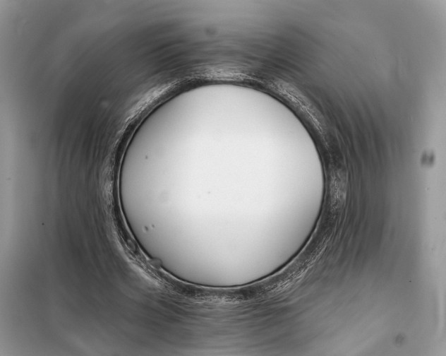 X0000098210533200805081137