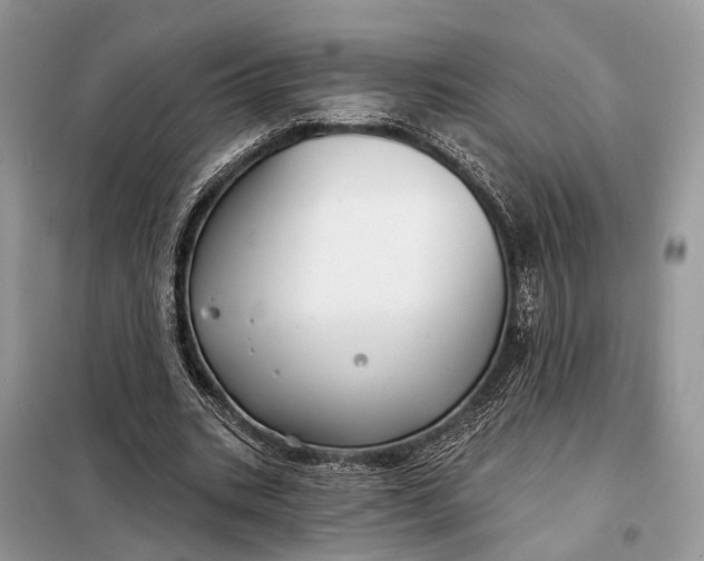 X0000098210535200805081137