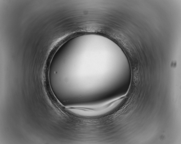 X0000098210536200805081137