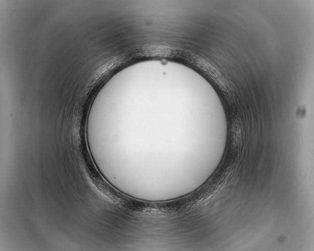 X0000098210538200805081137