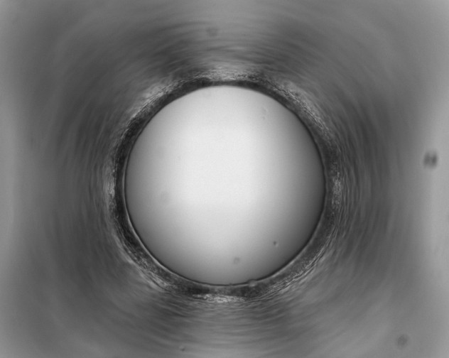 X0000098210539200805081137